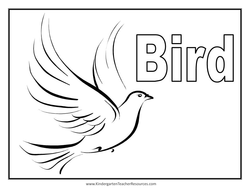Раскраска: домашняя птица (Животные) #11907 - Бесплатные раскраски для печати
