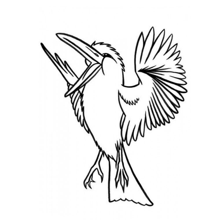 Раскраска: домашняя птица (Животные) #11911 - Бесплатные раскраски для печати