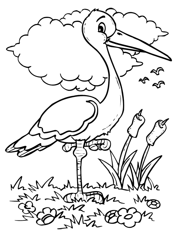 Раскраска: домашняя птица (Животные) #11920 - Бесплатные раскраски для печати
