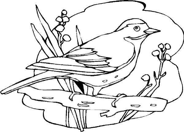Раскраска: домашняя птица (Животные) #11921 - Бесплатные раскраски для печати