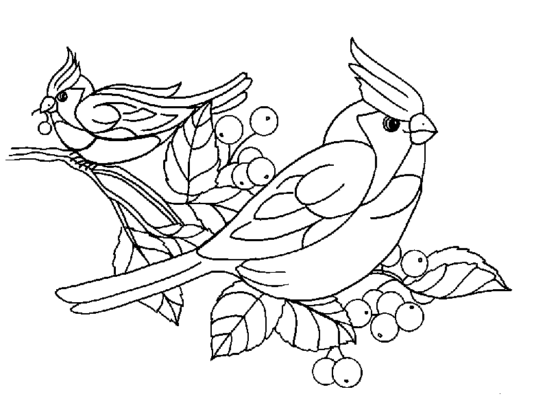 Раскраска: домашняя птица (Животные) #11926 - Бесплатные раскраски для печати