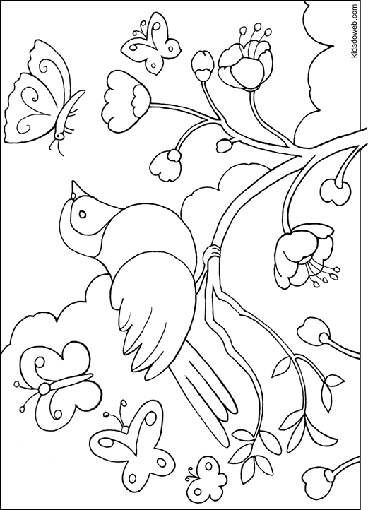 Раскраска: домашняя птица (Животные) #11944 - Бесплатные раскраски для печати