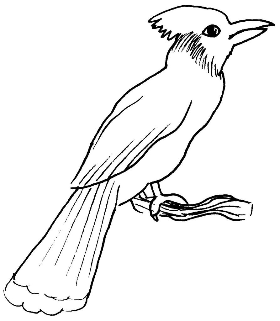 Раскраска: домашняя птица (Животные) #11947 - Бесплатные раскраски для печати