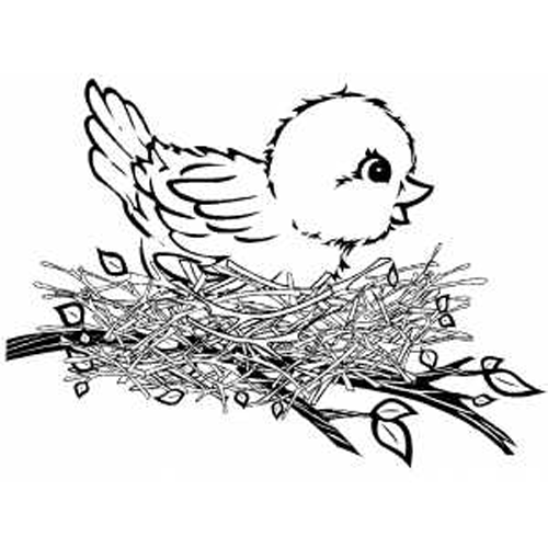 Раскраска: домашняя птица (Животные) #11952 - Бесплатные раскраски для печати
