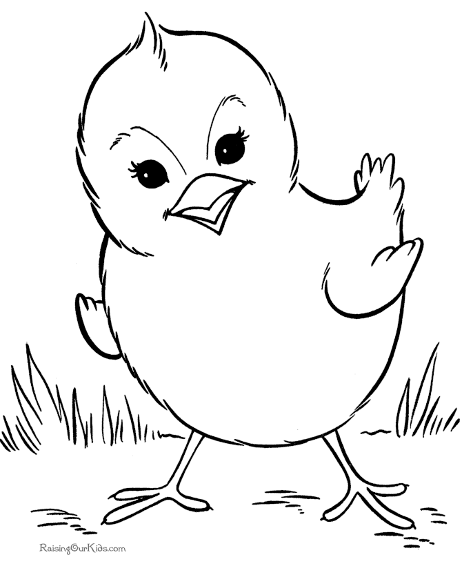 Раскраска: домашняя птица (Животные) #11955 - Бесплатные раскраски для печати