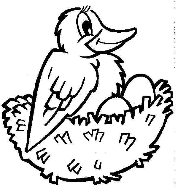 Раскраска: домашняя птица (Животные) #11958 - Бесплатные раскраски для печати