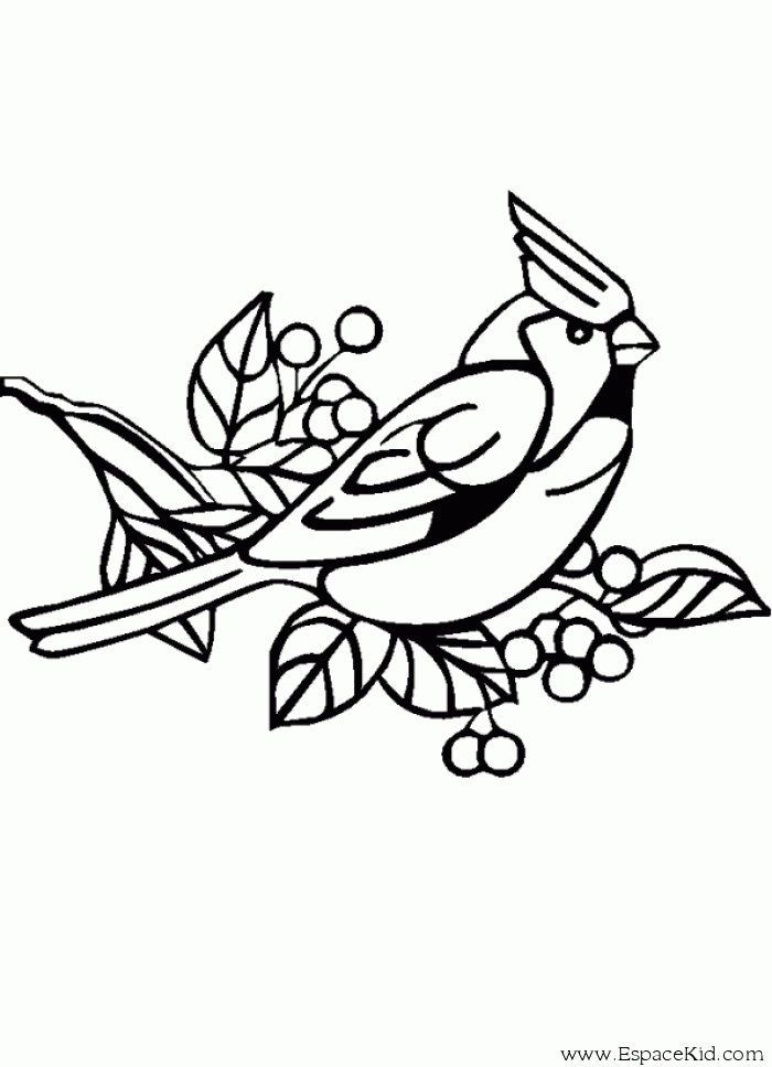 Раскраска: домашняя птица (Животные) #11969 - Бесплатные раскраски для печати