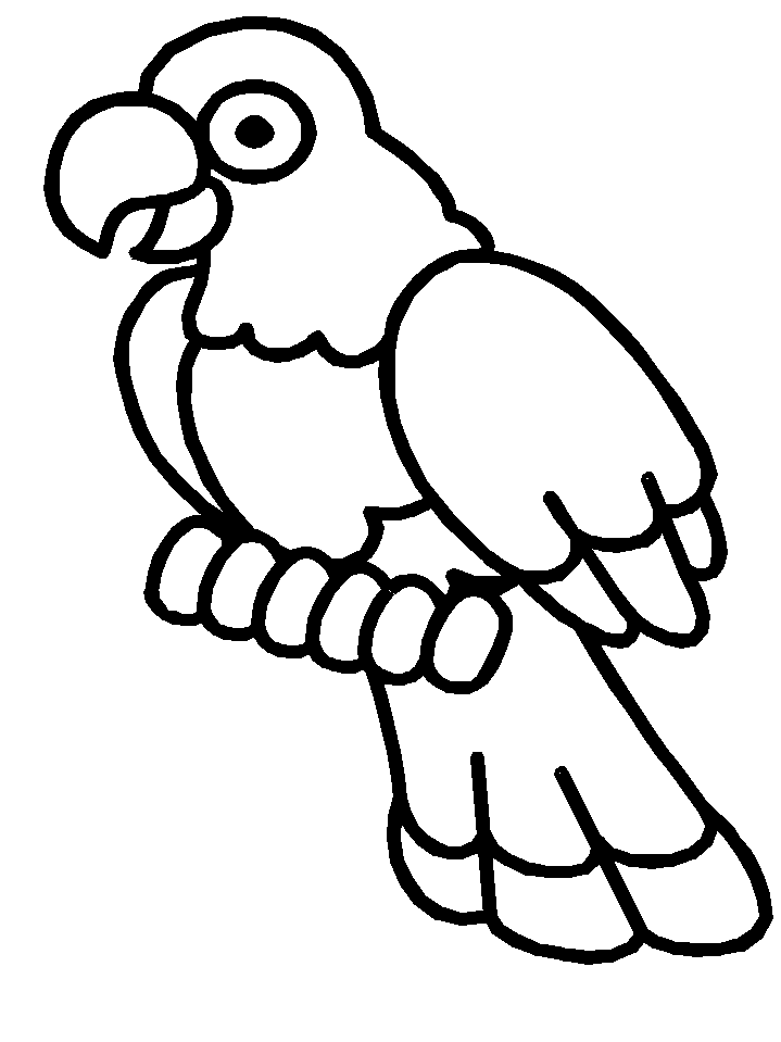 Раскраска: домашняя птица (Животные) #11975 - Бесплатные раскраски для печати