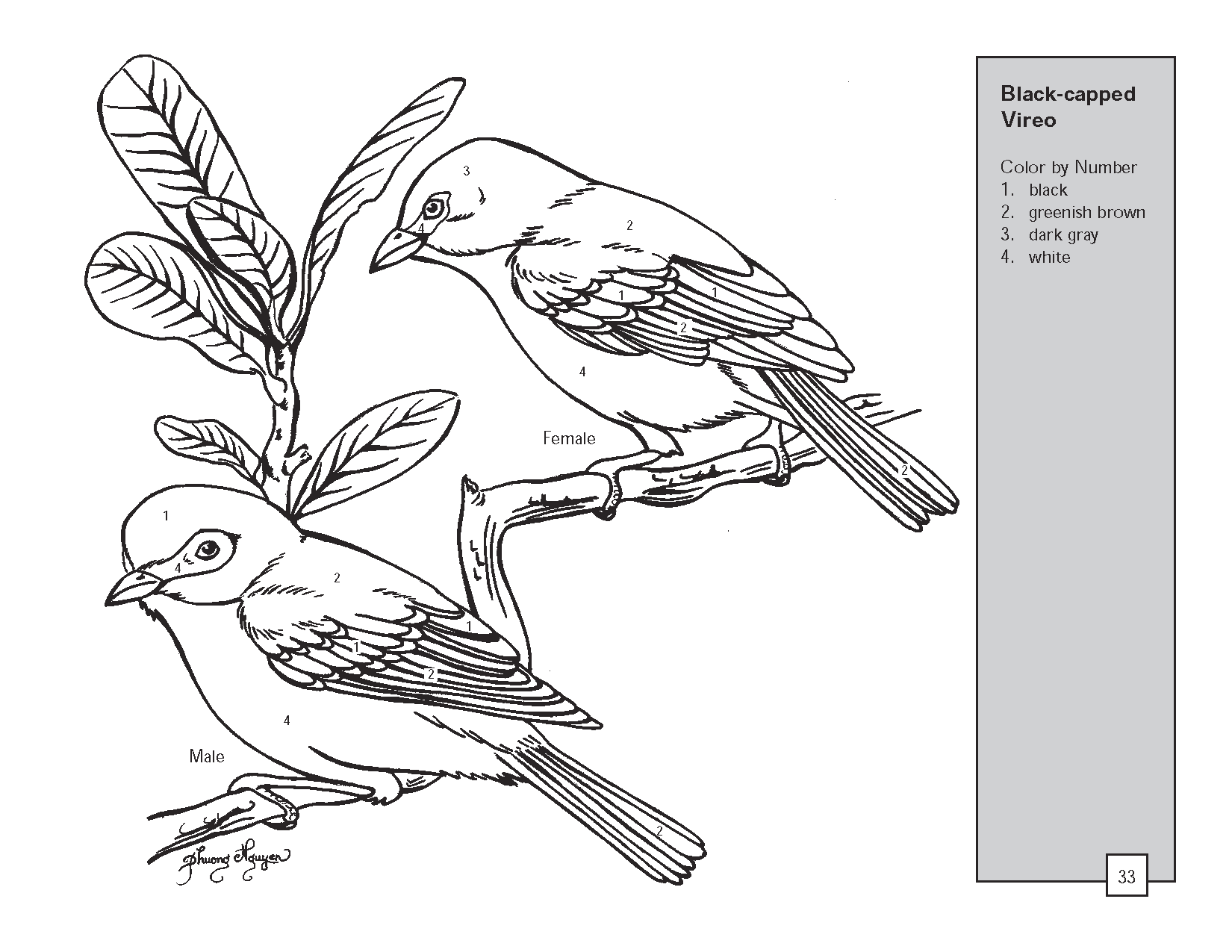 Раскраска: домашняя птица (Животные) #11981 - Бесплатные раскраски для печати