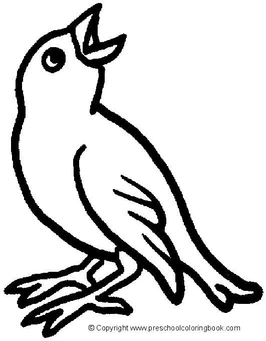 Раскраска: домашняя птица (Животные) #11983 - Бесплатные раскраски для печати