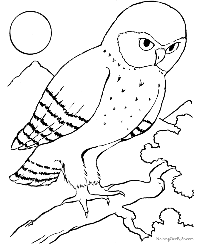 Раскраска: домашняя птица (Животные) #11990 - Бесплатные раскраски для печати