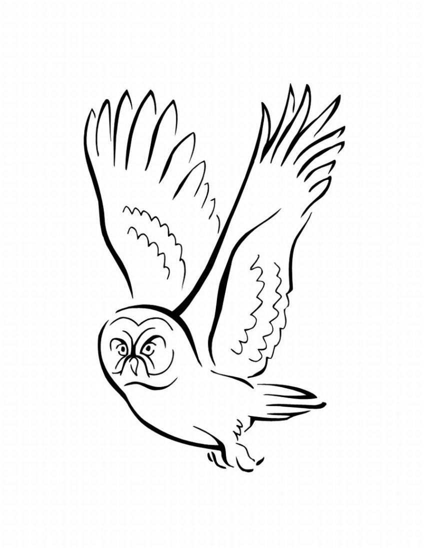 Раскраска: домашняя птица (Животные) #11992 - Бесплатные раскраски для печати
