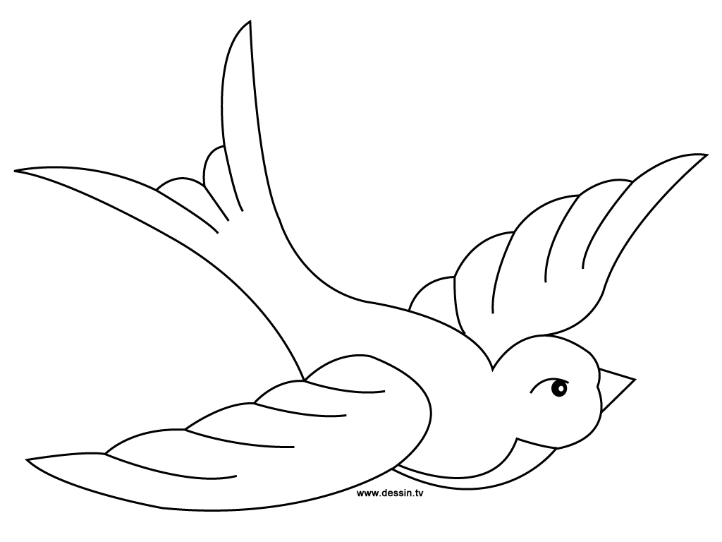 Раскраска: домашняя птица (Животные) #11998 - Бесплатные раскраски для печати