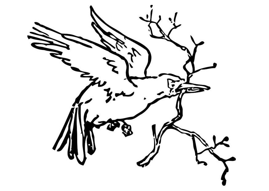Раскраска: домашняя птица (Животные) #12006 - Бесплатные раскраски для печати