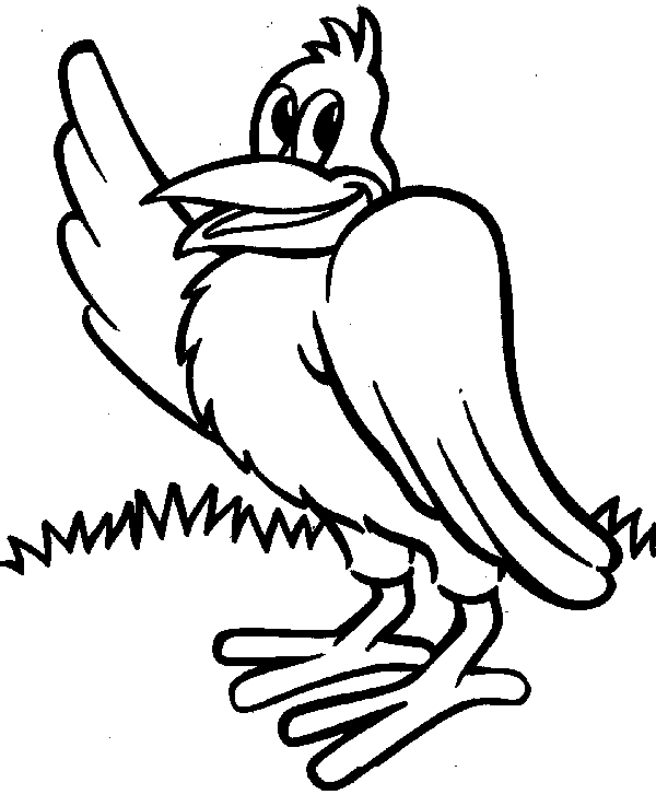 Раскраска: домашняя птица (Животные) #12008 - Бесплатные раскраски для печати