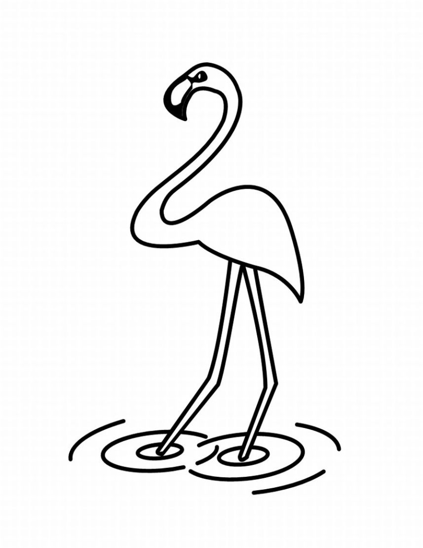 Раскраска: домашняя птица (Животные) #12009 - Бесплатные раскраски для печати