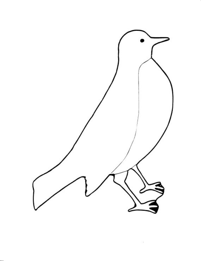 Раскраска: домашняя птица (Животные) #12011 - Бесплатные раскраски для печати