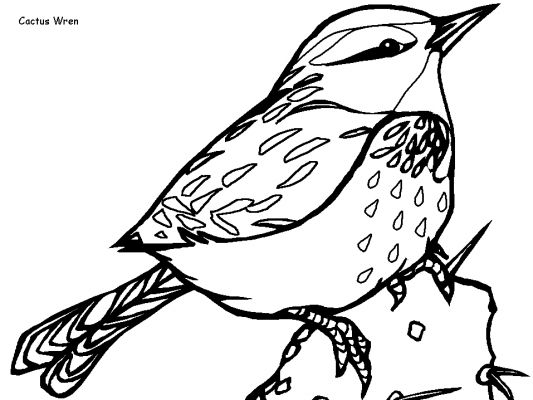 Раскраска: домашняя птица (Животные) #12026 - Бесплатные раскраски для печати