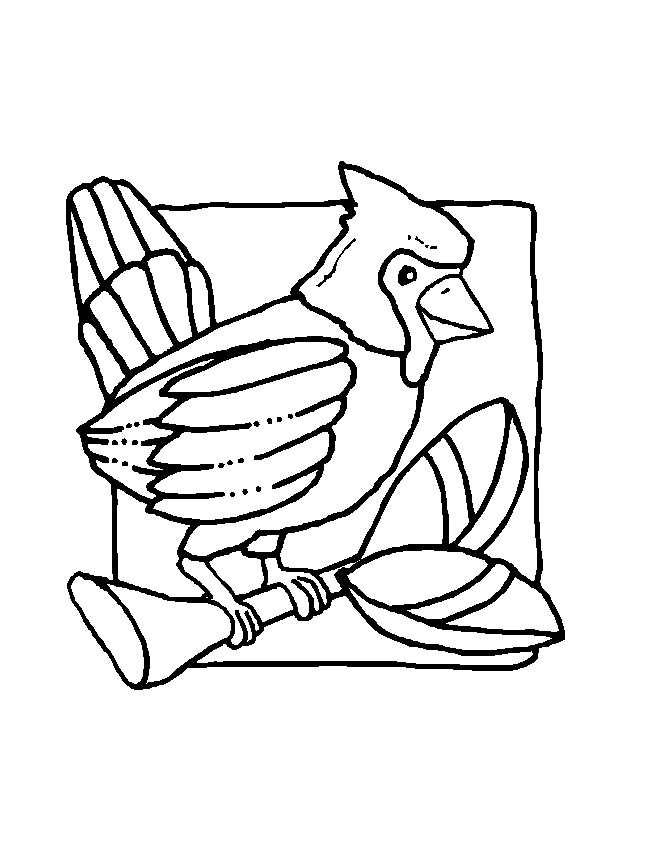 Раскраска: домашняя птица (Животные) #12045 - Бесплатные раскраски для печати