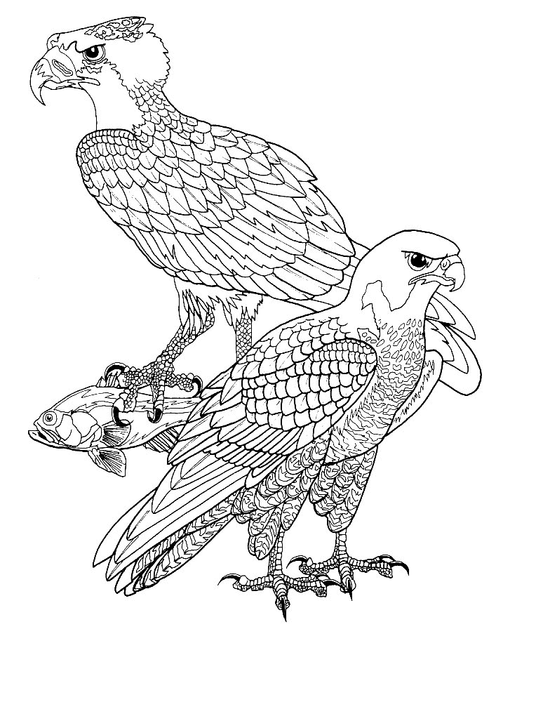 Раскраска: домашняя птица (Животные) #12053 - Бесплатные раскраски для печати