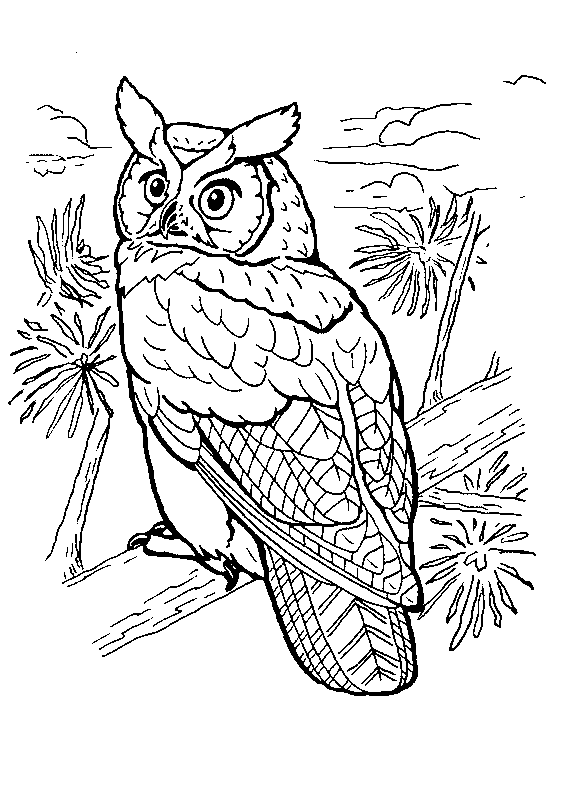 Раскраска: домашняя птица (Животные) #12054 - Бесплатные раскраски для печати
