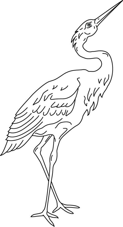 Раскраска: домашняя птица (Животные) #12067 - Бесплатные раскраски для печати