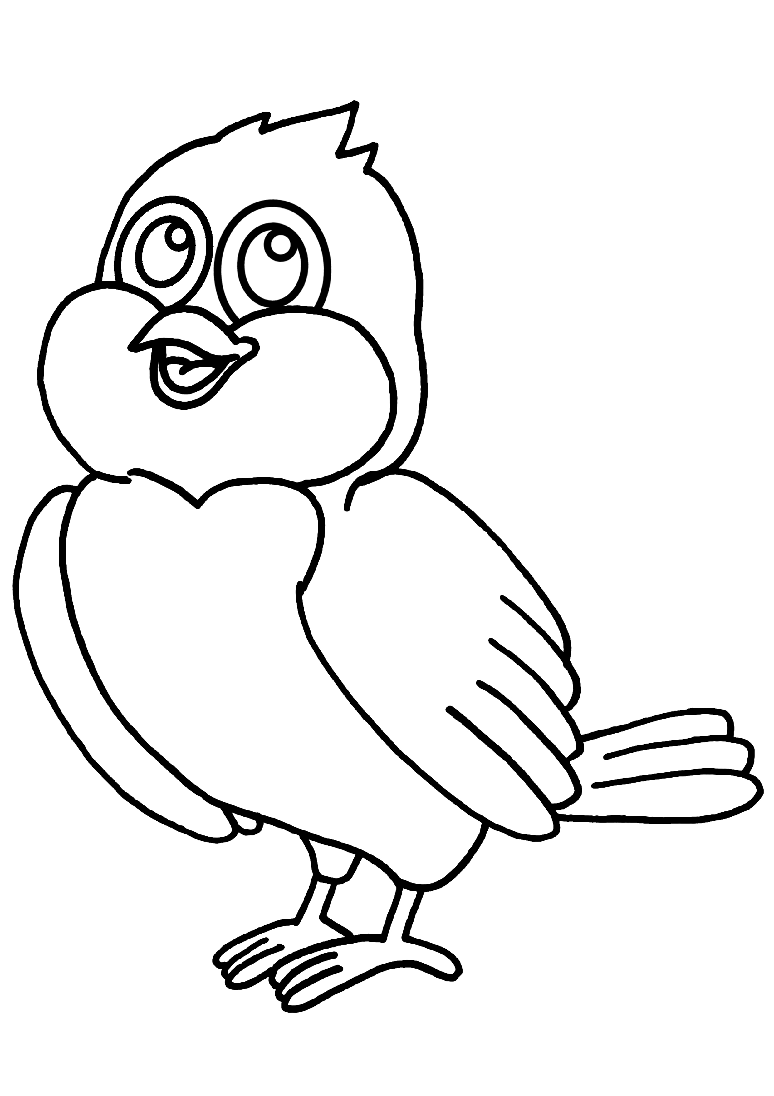 Раскраска: домашняя птица (Животные) #12069 - Бесплатные раскраски для печати