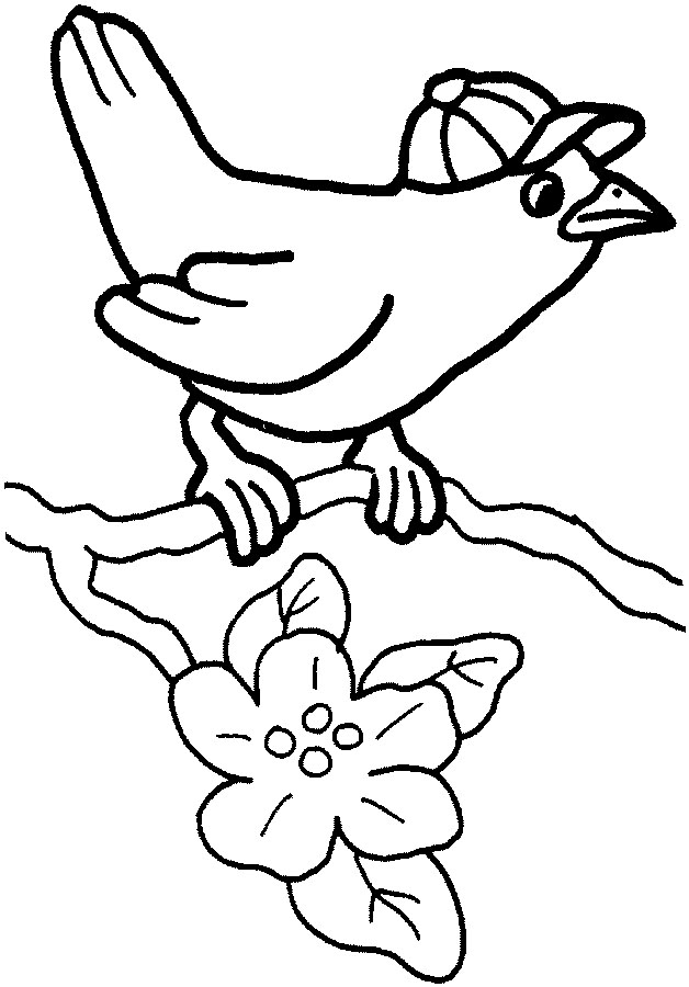 Раскраска: домашняя птица (Животные) #12070 - Бесплатные раскраски для печати