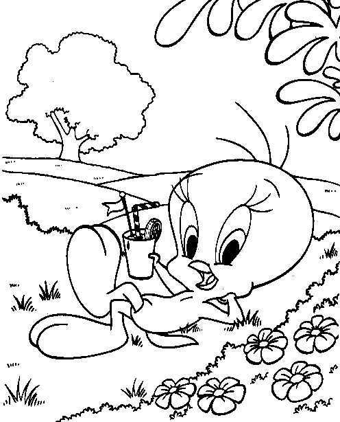 Раскраска: домашняя птица (Животные) #12095 - Бесплатные раскраски для печати