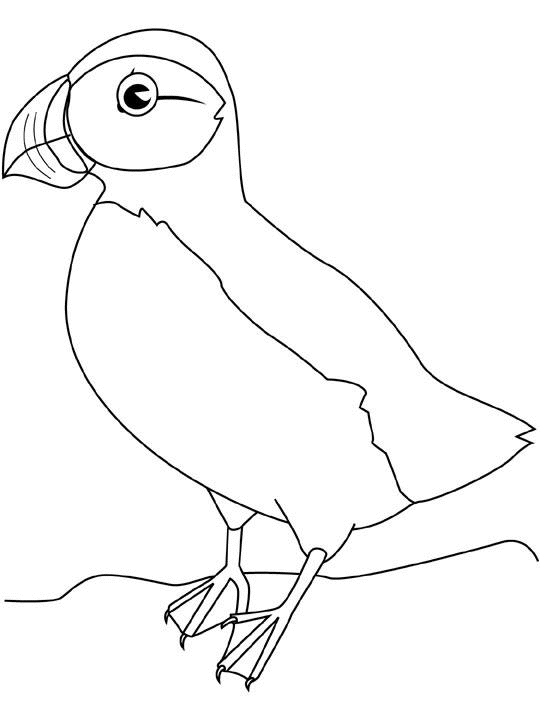 Раскраска: домашняя птица (Животные) #12098 - Бесплатные раскраски для печати