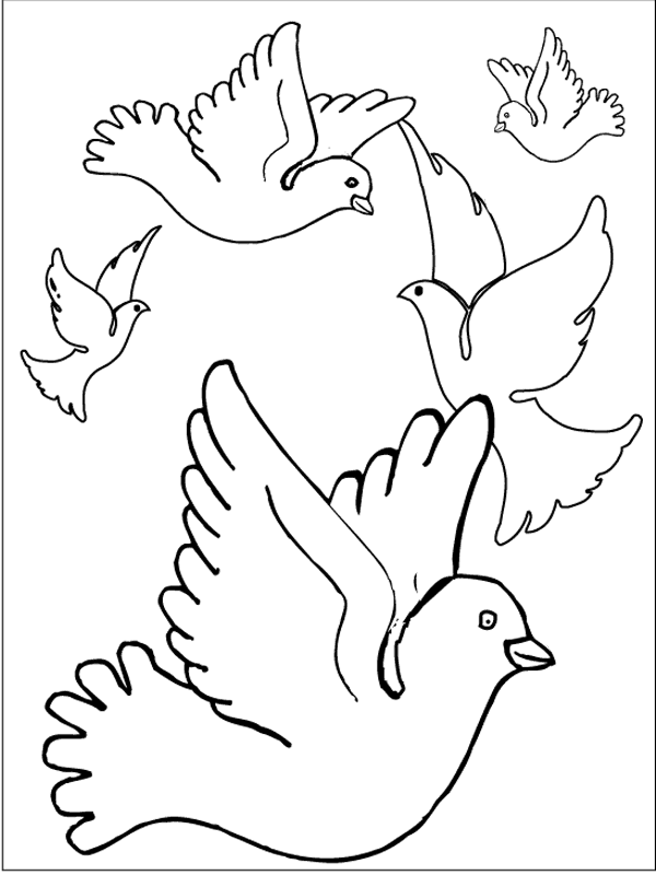 Раскраска: домашняя птица (Животные) #12106 - Бесплатные раскраски для печати