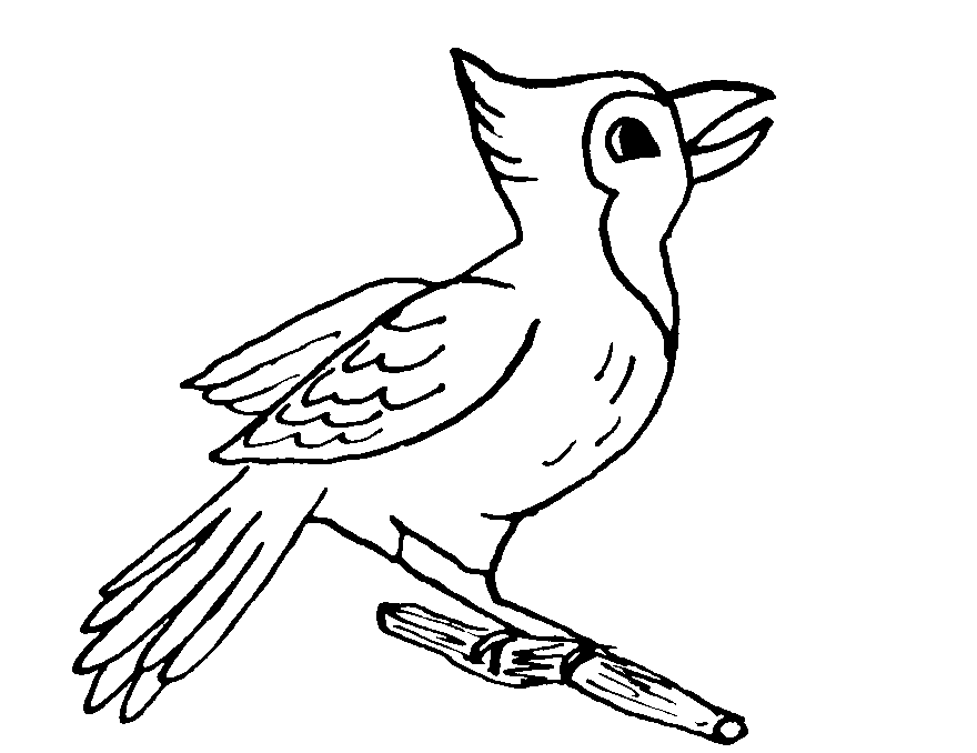 Раскраска: домашняя птица (Животные) #12112 - Бесплатные раскраски для печати