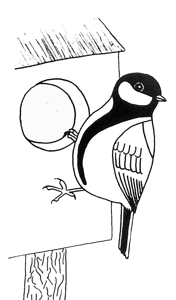 Раскраска: домашняя птица (Животные) #12125 - Бесплатные раскраски для печати