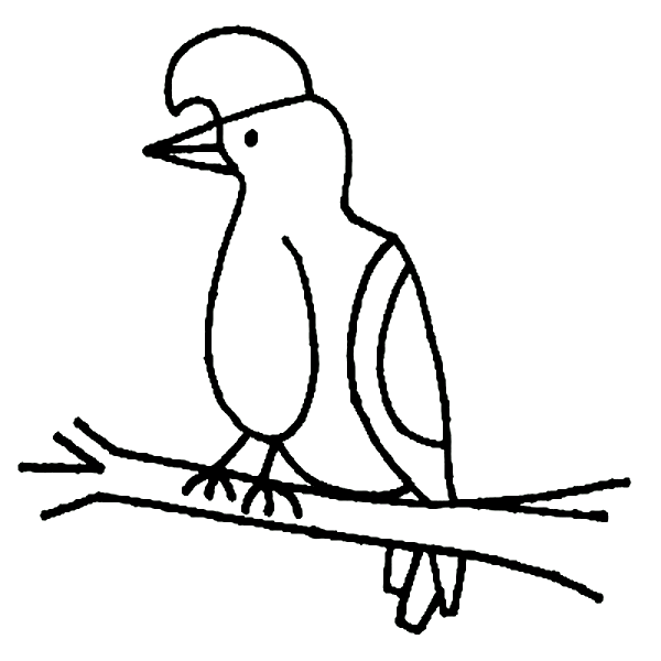 Раскраска: домашняя птица (Животные) #12130 - Бесплатные раскраски для печати