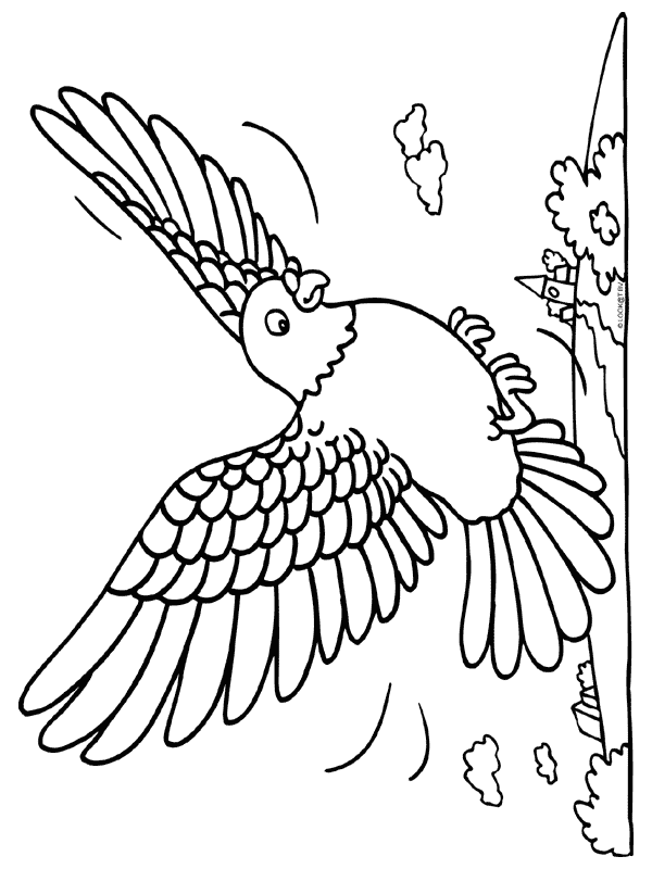 Раскраска: домашняя птица (Животные) #12132 - Бесплатные раскраски для печати