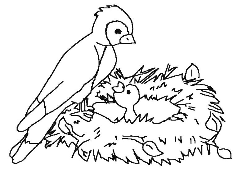 Раскраска: домашняя птица (Животные) #12145 - Бесплатные раскраски для печати