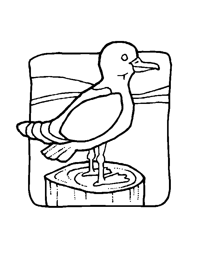 Раскраска: домашняя птица (Животные) #12146 - Бесплатные раскраски для печати