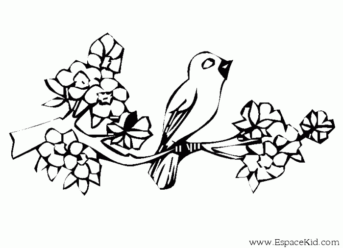 Раскраска: домашняя птица (Животные) #12147 - Бесплатные раскраски для печати