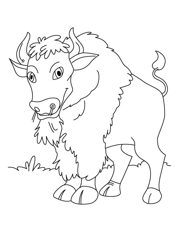 Раскраска: бизон (Животные) #1219 - Бесплатные раскраски для печати