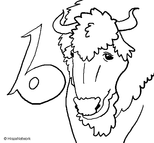 Раскраска: бизон (Животные) #1223 - Бесплатные раскраски для печати