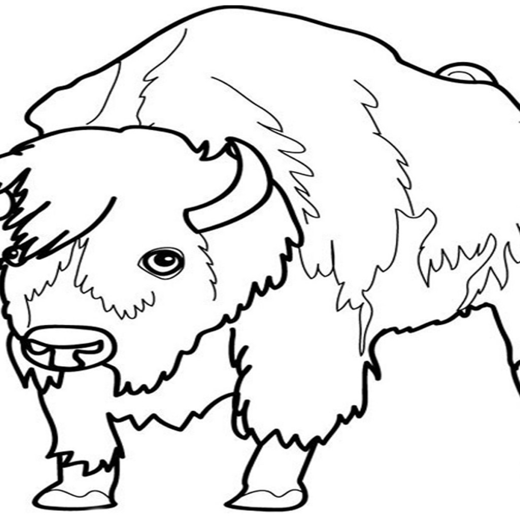 Раскраска: бизон (Животные) #1252 - Бесплатные раскраски для печати