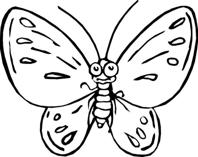 Раскраска: бабочка (Животные) #15666 - Бесплатные раскраски для печати