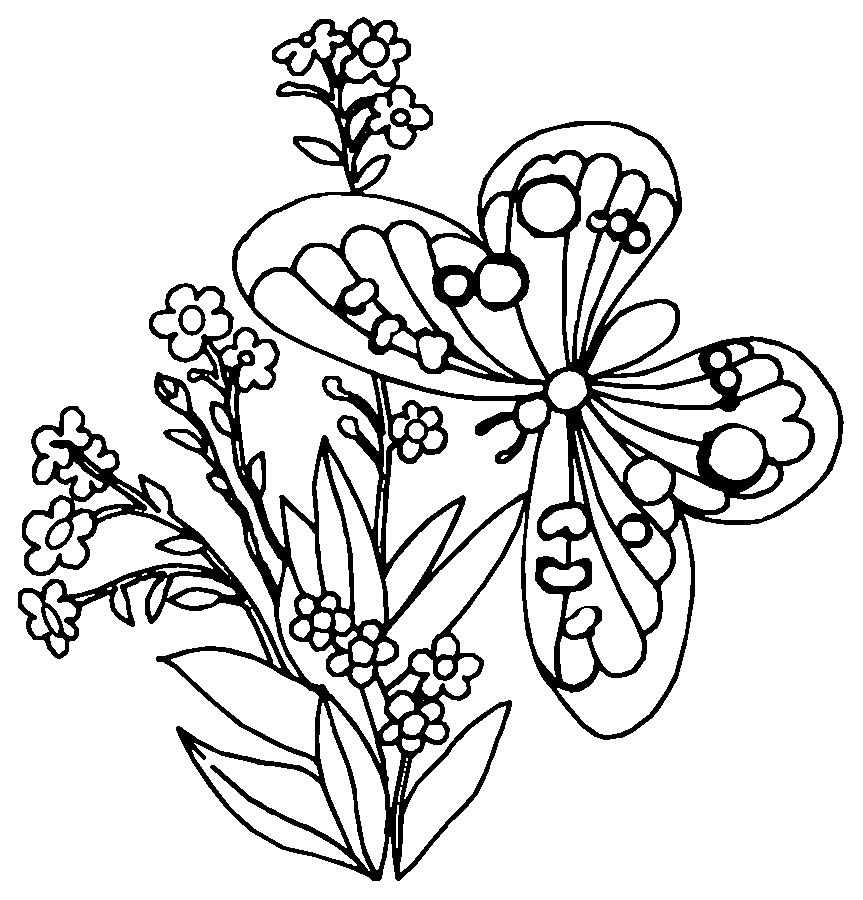 Раскраска: бабочка (Животные) #15668 - Бесплатные раскраски для печати