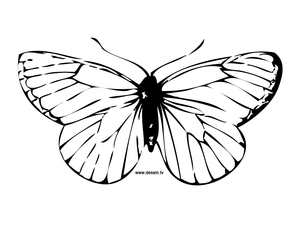 Раскраска: бабочка (Животные) #15675 - Бесплатные раскраски для печати
