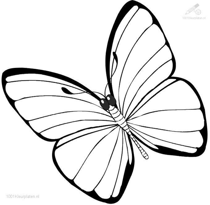 Раскраска: бабочка (Животные) #15680 - Бесплатные раскраски для печати