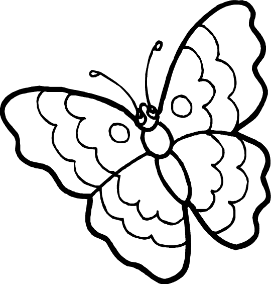 Раскраска: бабочка (Животные) #15681 - Бесплатные раскраски для печати