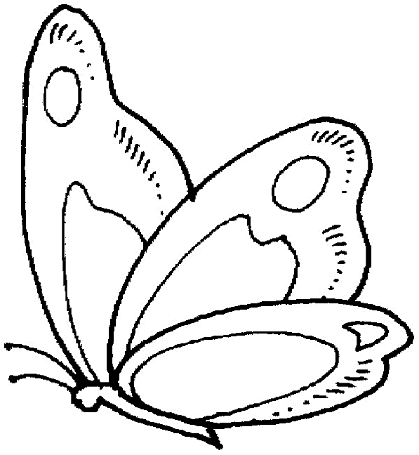 Раскраска: бабочка (Животные) #15685 - Бесплатные раскраски для печати
