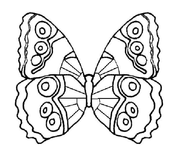 Раскраска: бабочка (Животные) #15691 - Бесплатные раскраски для печати