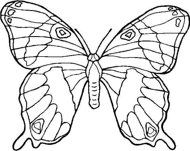 Раскраска: бабочка (Животные) #15697 - Бесплатные раскраски для печати