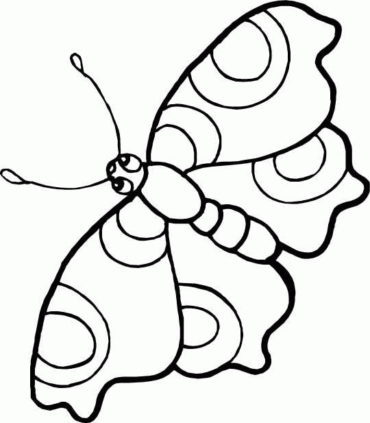 Раскраска: бабочка (Животные) #15708 - Бесплатные раскраски для печати